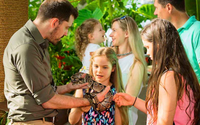Visitors interacting with a snake at Green Planet Dubai.