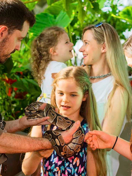 Visitors interacting with a snake at Green Planet Dubai.