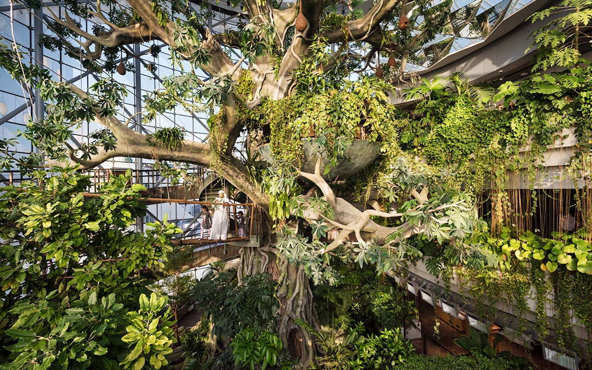 Green Planet Dubai indoor rainforest with lush vegetation and visitors on walkway.