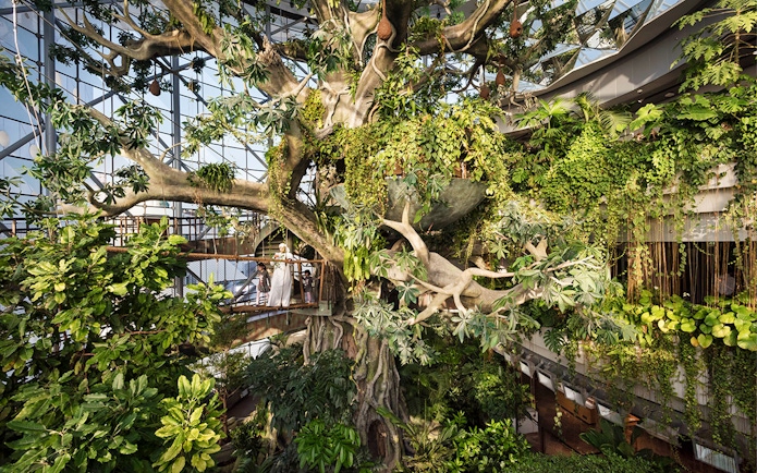 Green Planet Dubai indoor rainforest with lush vegetation and visitors on walkway.