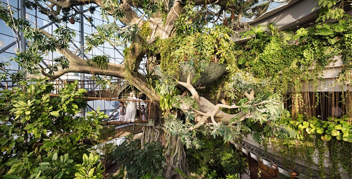 Book Green Planet Dubai Tickets
