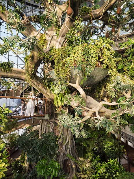 Green Planet Dubai indoor rainforest with lush vegetation and visitors on walkway.