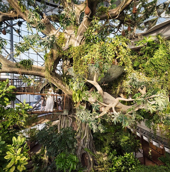 The only guide you need to visit The Green Planet Dubai