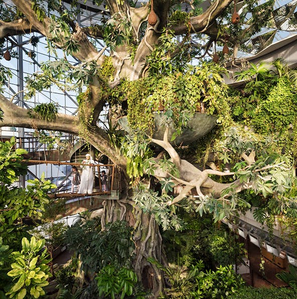 The only guide you need to visit The Green Planet Dubai