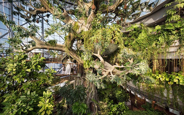Green Planet Dubai indoor rainforest with lush vegetation and visitors on walkway.
