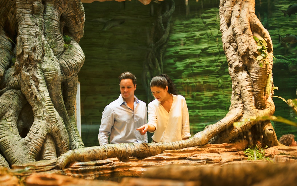 Visitors exploring lush greenery at Dubai's Green Planet.