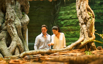 Visitors exploring lush greenery at Dubai's Green Planet.