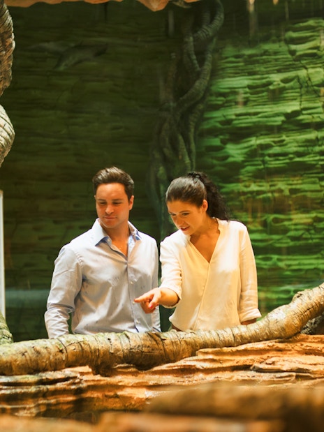 Visitors exploring lush greenery at Dubai's Green Planet.