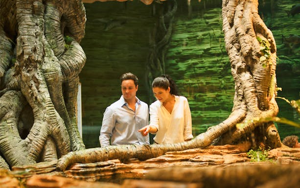 Visitors exploring lush greenery at Dubai's Green Planet.