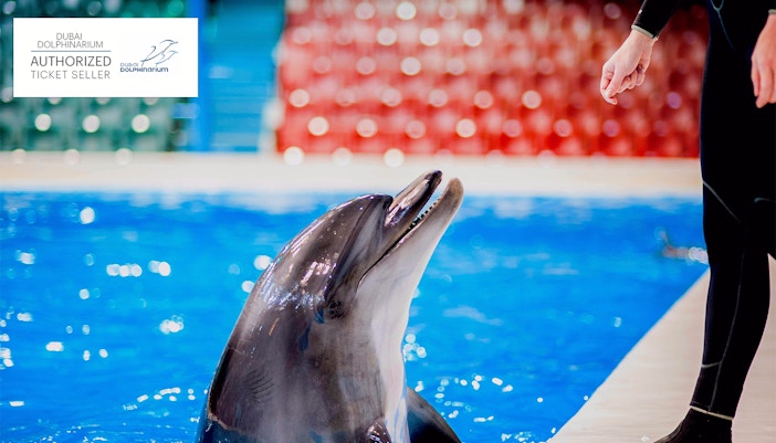 dolphinarium dubai