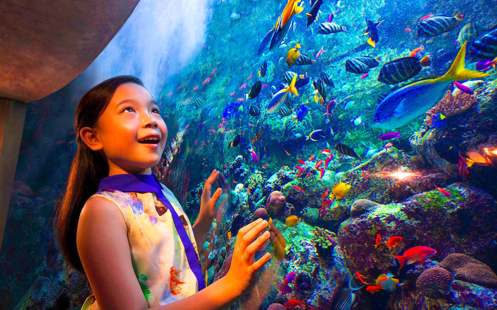 iVenture Unlimited Dubai Pass