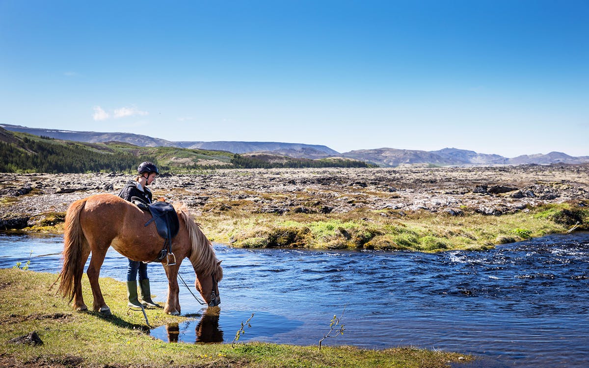 family adventure - horse riding-2 family adventure - horse riding-2