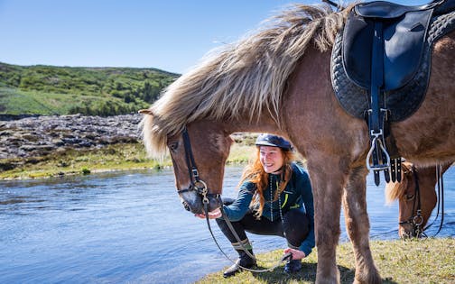 Family Adventure - Horse Riding