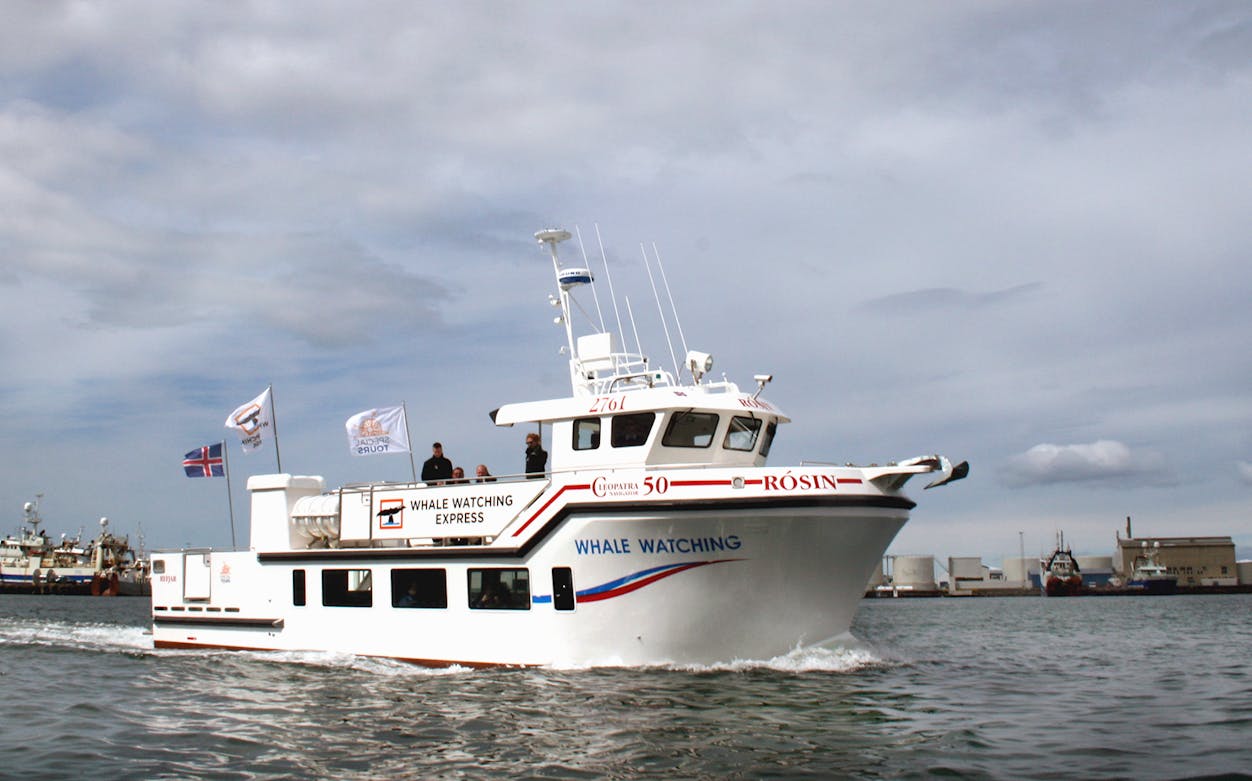 Whale watching boat with passengers in a harbor, Icelandic flag visible.
