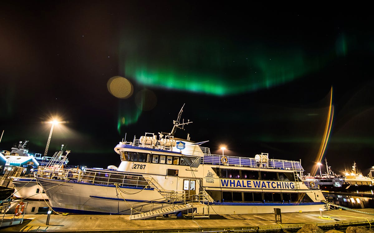 northern lights cruise from reykjavik-2 northern lights cruise from reykjavik-2