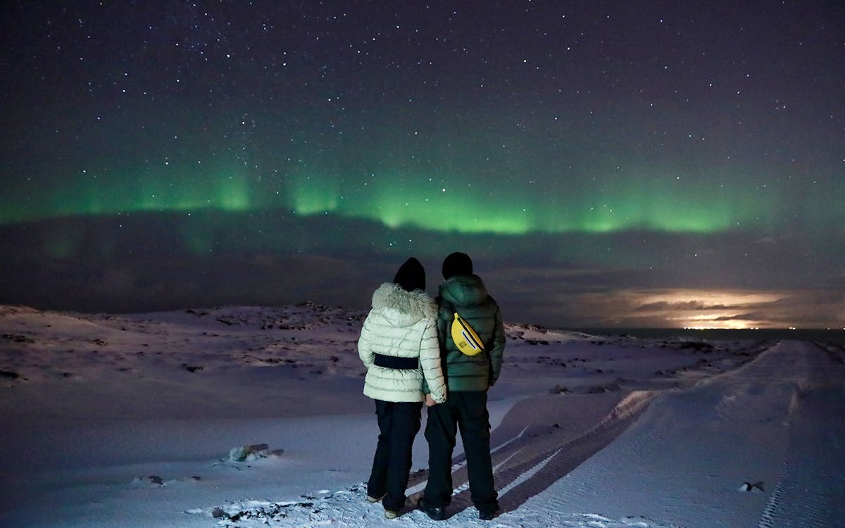 nordlichtbustour ab reykjavik mit hoteltransfer-5 nordlichtbustour ab reykjavik mit hoteltransfer-5