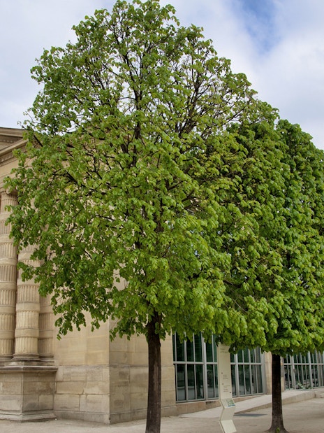 Entrance to The Orangerie Museum in Paris with visitors outside.