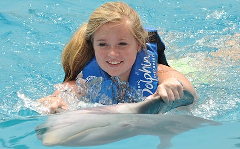 Swimming with a dolphin in Puerto Vallarta adventure experience.