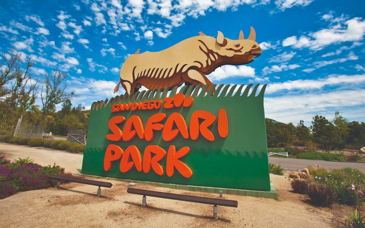 San Diego Zoo Safari Park 1day Ticket Best Price Guarantee From Headout