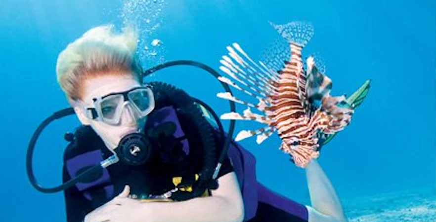 Diver exploring underwater with a lionfish during Scuba Diving tour.