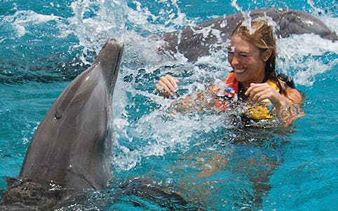 Swimming with dolphins in Isla Mujeres during the Royal Swim VIP experience.