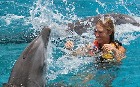 Swimming with dolphins in Isla Mujeres during the Royal Swim VIP experience.