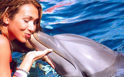 Dolphin interaction at Isla Mujeres with visitor.