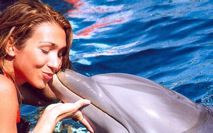Dolphin interaction at Isla Mujeres with visitor.