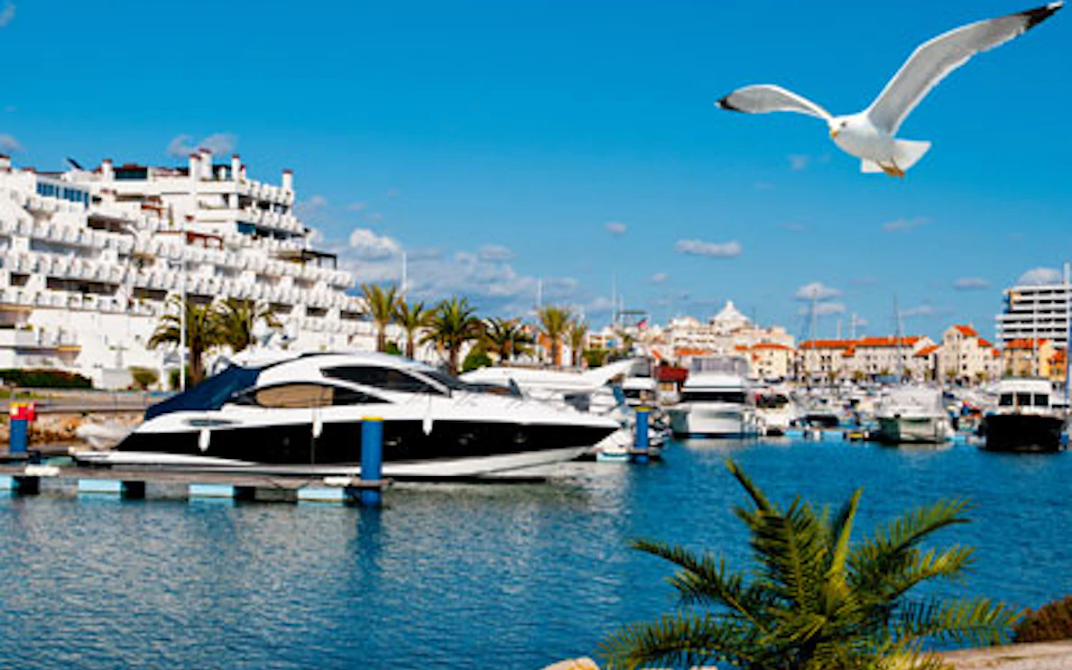 Quarteira marina with yachts and seagull under a clear blue sky.