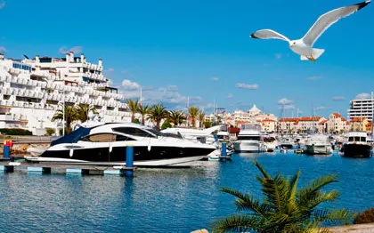 Quarteira marina with yachts and seagull under a clear blue sky.