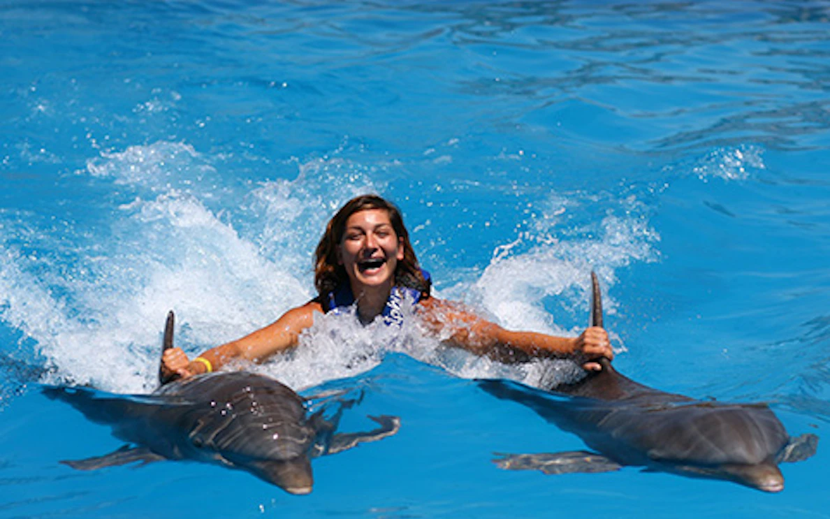 Swimming with dolphins in Puerto Vallarta's Royal Swim experience.