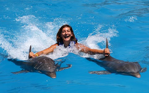 Swimming with dolphins in Puerto Vallarta's Royal Swim experience.