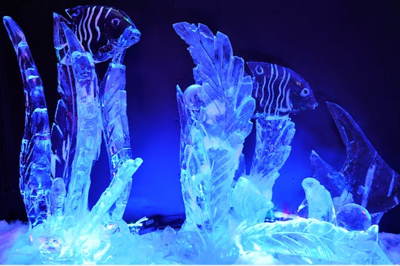 singapore snow city tickets-9