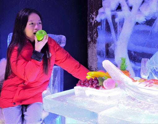 Ice Hotel Gallery en Snow City, Singapur