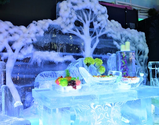 Ice Hotel Gallery en Snow City, Singapur