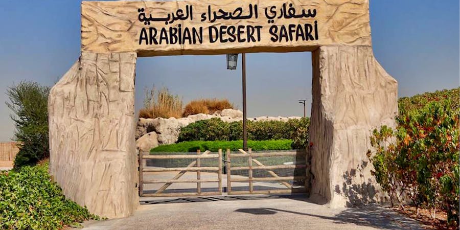 Dubai in february - hot air balloon