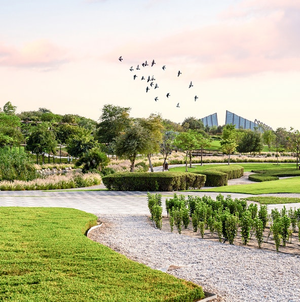 Watch these spectacular shows at the Dubai Safari Park!