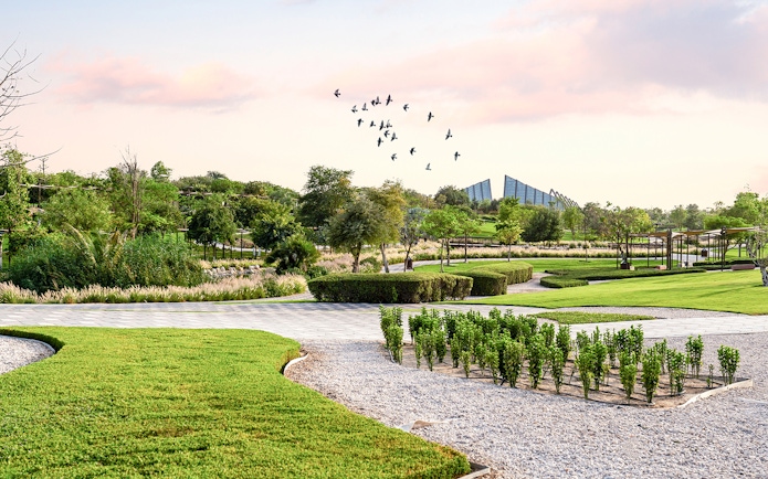 Birds flying over landscaped gardens at Dubai Safari Park.