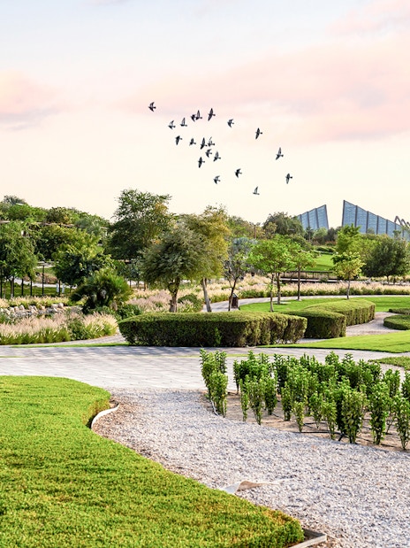 Birds flying over landscaped gardens at Dubai Safari Park.