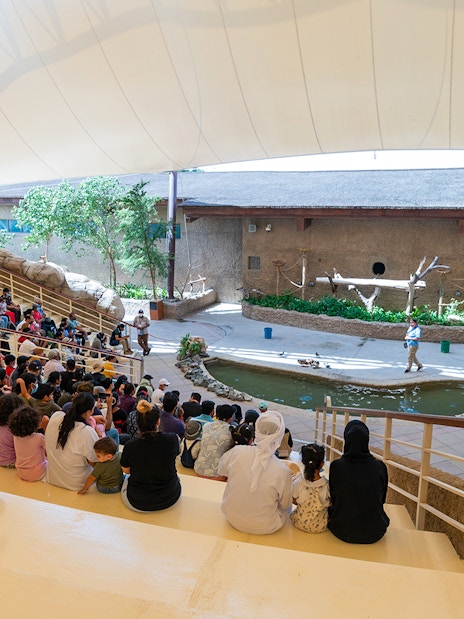 Audience watching a live animal show at Dubai Safari Park amphitheater.