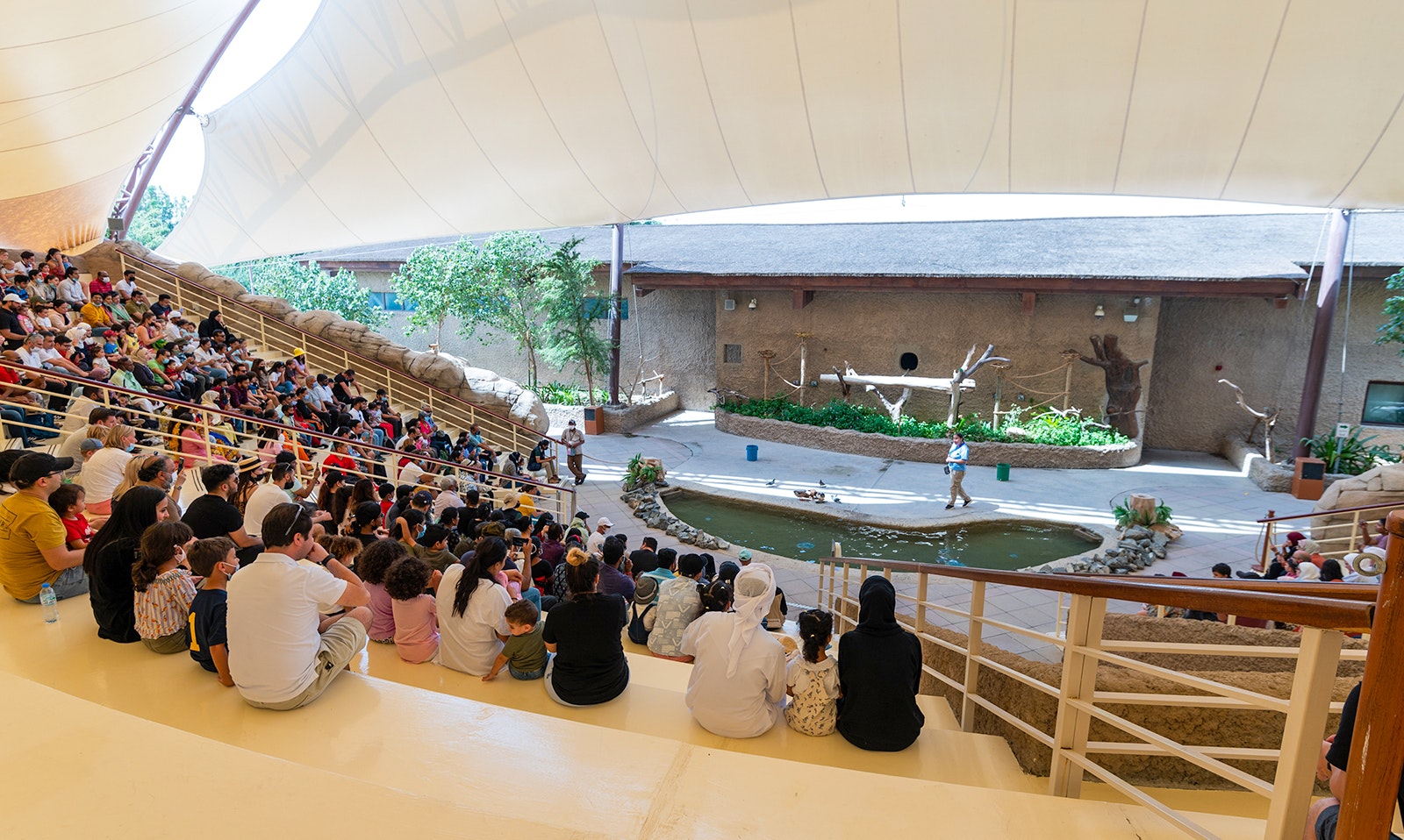 Live animal shows at Dubai Safari Park