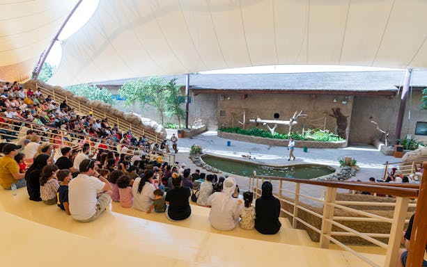Audience watching a live animal show at Dubai Safari Park amphitheater.