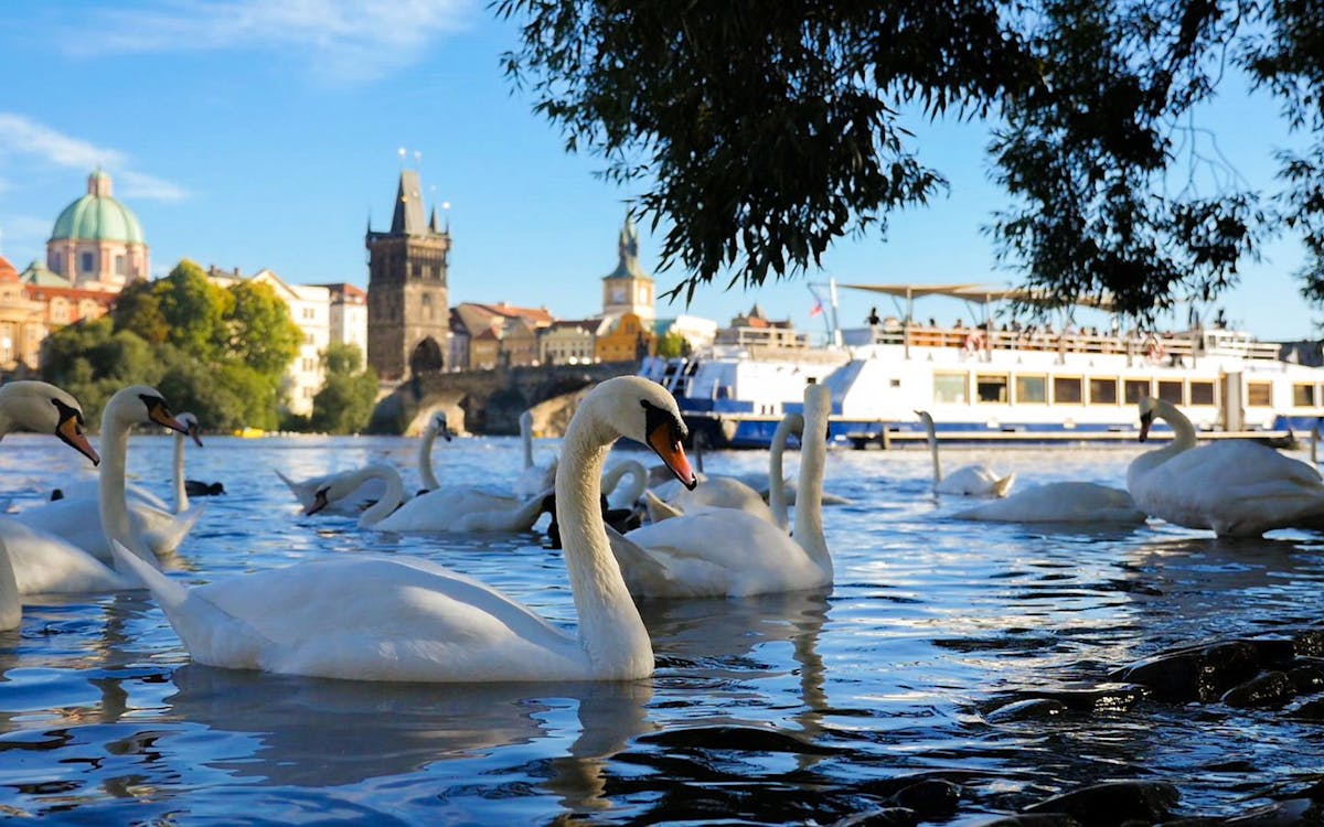 praga: crociera sul fiume di 1 ora con guida multimediale-5 praga: crociera sul fiume di 1 ora con guida multimediale-5