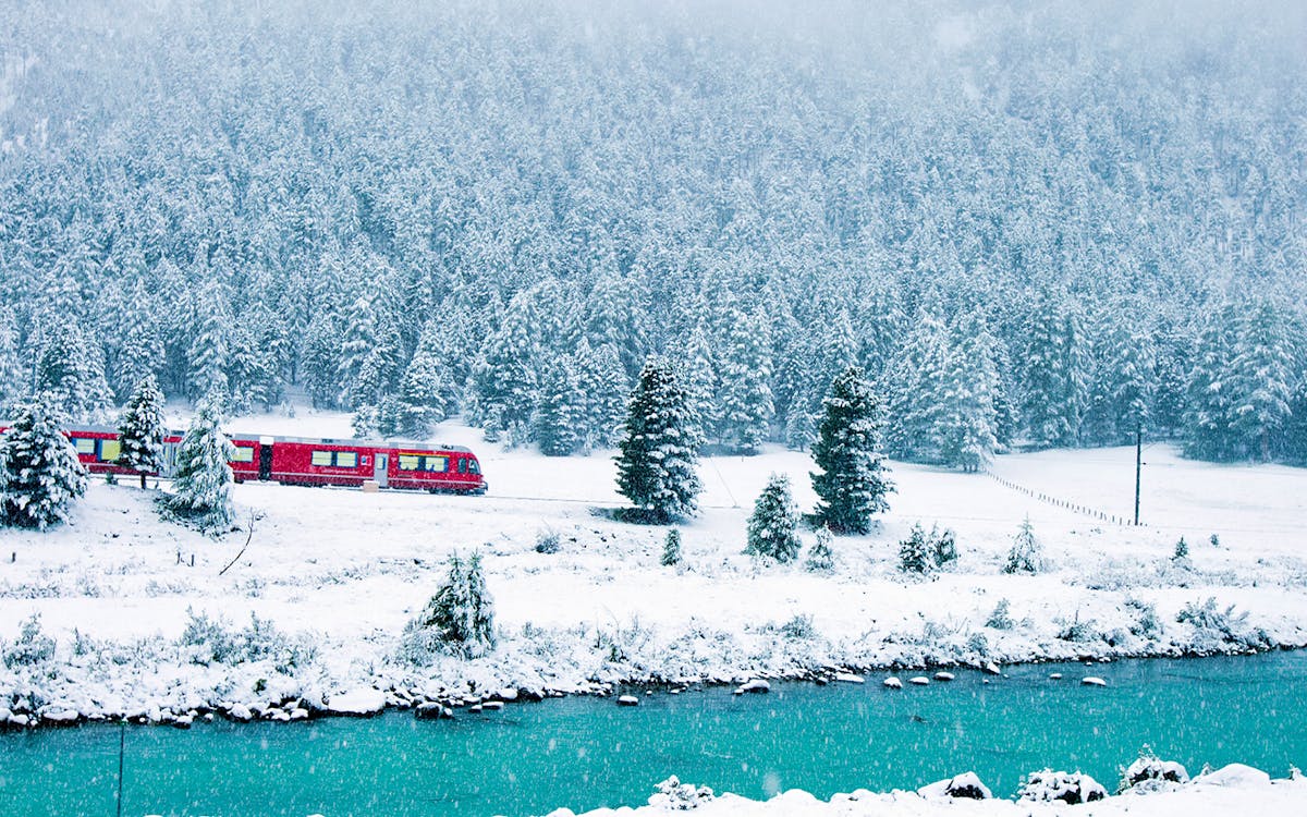 day trip to the swiss alps by bernina express from milan-7 day trip to the swiss alps by bernina express from milan-7