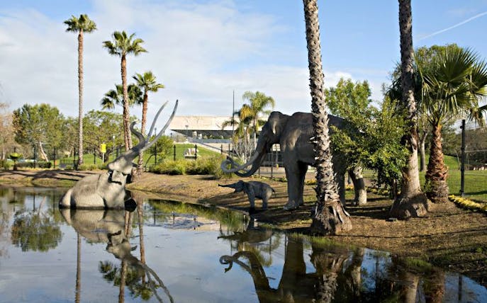 Sculptures of prehistoric animals at La Brea Tar Pits and Museum, Los Angeles.