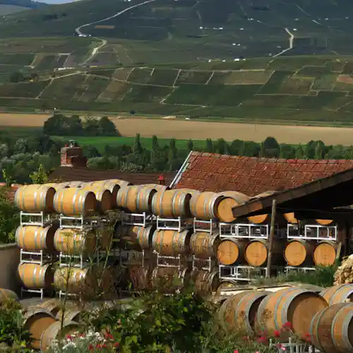 best day trips from paris - reims champagne