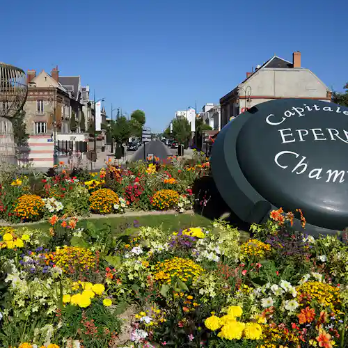 best day trips from paris - reims