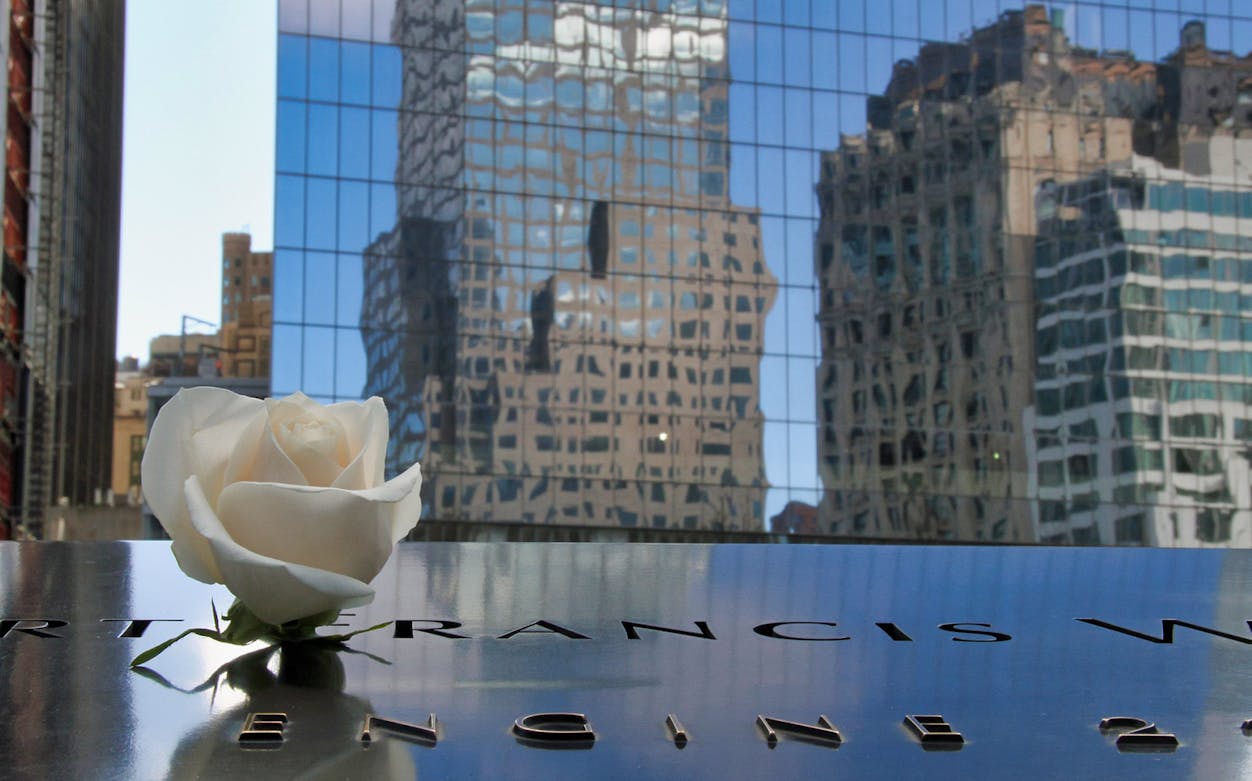 White rose on 9/11 Memorial with city buildings reflected in glass, New York City.