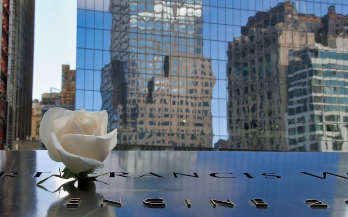 White rose on 9/11 Memorial with city buildings reflected in glass, New York City.