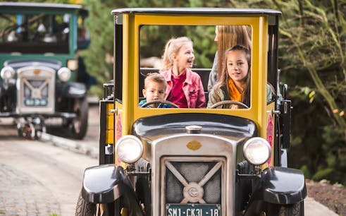 Priority Admission Ticket to Efteling Theme Park